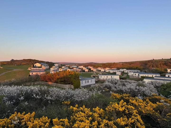 Holiday homes among the gorse at North Morte Farm