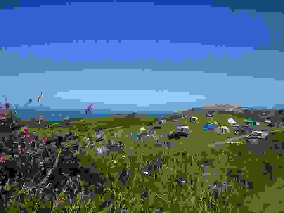 Camping fields at North Morte Farm