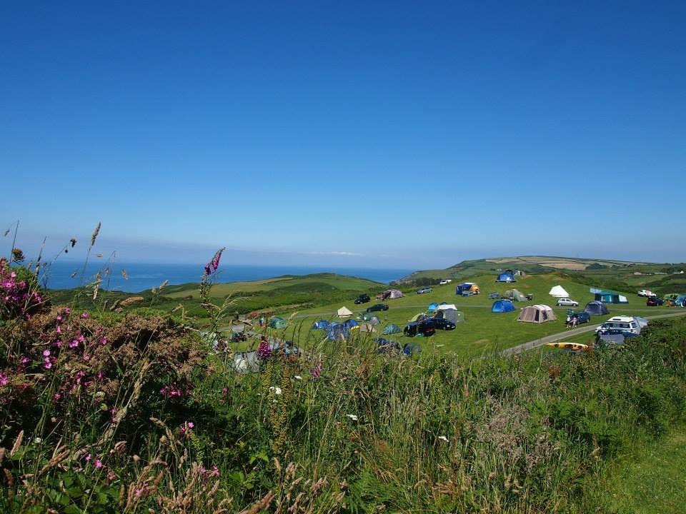 Tents on the camping fields, wildflowers in the foreground and the sea beyond